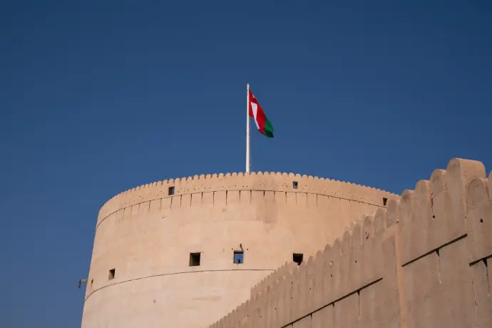 a flag flying on top of a tall building